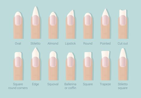 The Ultimate Guide to Nail Shapes | Ask ... Nail Shape Chart, Acrylic Nails Natural, Nails Shapes, Nail Shapes Square, Patrick Nagel, Lipstick Nails, Acrylic Nail Shapes, Different Nail Shapes, Squoval Nails