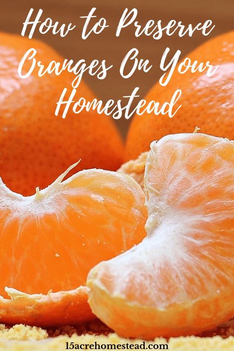 Learning new ways to preserve oranges on your homestead can provide many ways to enjoy them year-round! Preserve Oranges, Home Skills, Homestead Kitchen, Acre Homestead, Long Term Food Storage, Dehydrated Fruit, Homesteading Skills, Fruit Preserves, Emergency Food