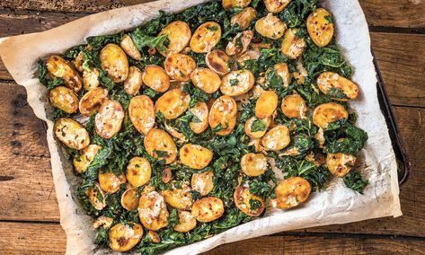 Toasted Potatoes, Wilted Kale, Warm Kale Salad, Roasted Potato Salad, Mini Potatoes, Roasted Potato, Warm Salad, Kale Recipes, Tahini Dressing