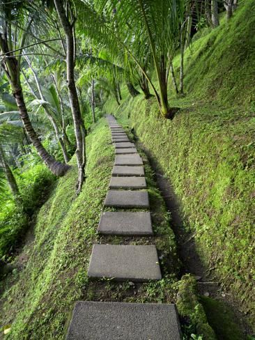 Simple Garden Ideas, Pathway Landscaping, Simple Garden, Hydrangea Care, Hillside Landscaping, Garden Walkway, Stone Path, Embrace Nature, Square Stone