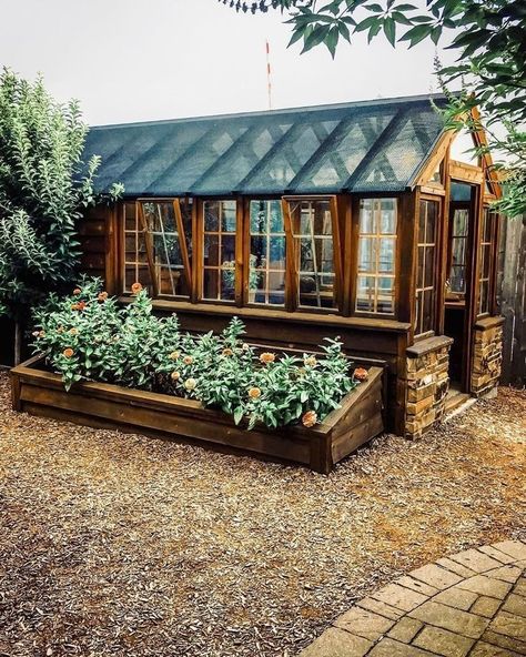 Dream Greenhouse, Magnolia Silos, Outdoor Greenhouse, Greenhouse Shed, Backyard Greenhouse, Have Inspiration, Greenhouse Gardening, Stone Cottage, Vegetable Garden Design