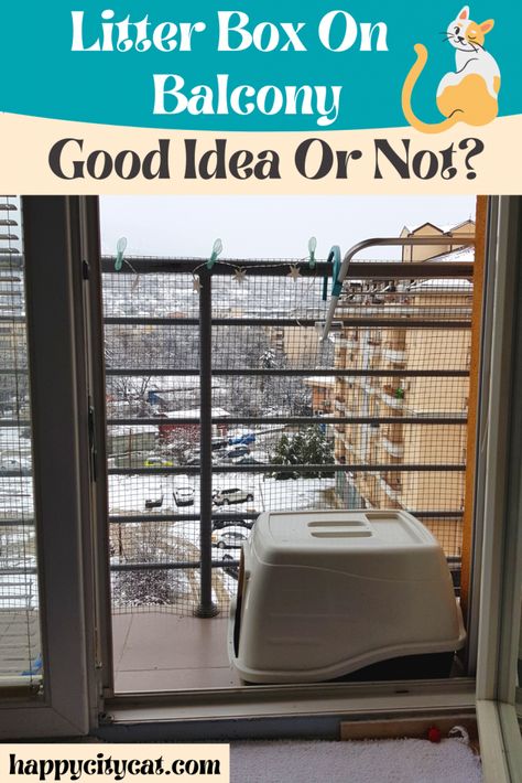 Here is my experience in keeping a litter box on balcony in my small apartment - all the good and bad stuff! Cat Litter Box On Patio, Litter Box Catio, Where To Put Litter Box In Apartment, Balcony Litter Box Ideas, Litter Box In Small Apartment, Cat Litter Box Catio, Litter Box Small Apartment, Small Apartment Cat Litter Ideas, Cats In Small Apartments