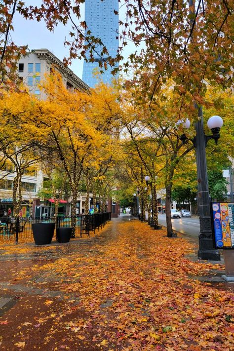 Fall In Seattle, Gilmore Girls Aesthetic, Aesthetic Downtown Girl, Autumn Fall Aesthetic, City Scenery, Aesthetic Downtown, Fall Boards, Girl Aesthetics, Fall Mood Board