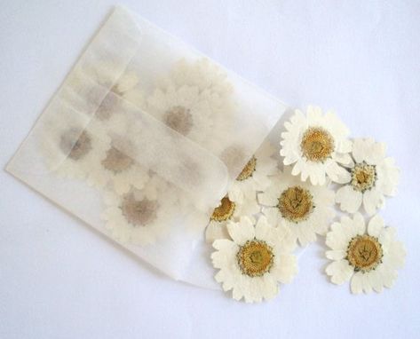 Flower Theme Wedding, Daisy Wedding Theme, Daisy Boutonniere, Flower Wreath Hair, Flower Girl Petals, Flower Confetti, Bridesmaid Clutches, Daisy Wedding, Flowers For Sale