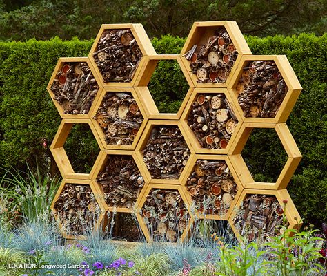 Native Bee Hive, Native Bee House, Bee House Diy, Diy Bee House, Bees House, Bug Houses, Bee Hives Diy, Diy Lounge, Bee Hive Plans