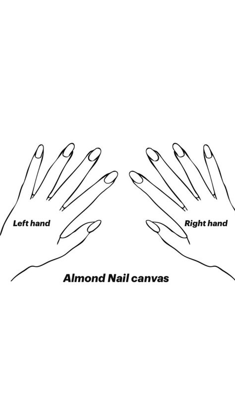 plain blank almond nail canvas template with both hands with a black outline and white background Nail Template, Canvas Template, Nail Room, Almond Nail, Makeup Nails, A Black, Ongles, White Background, Almond