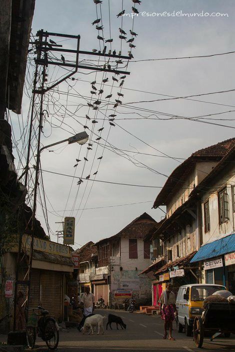 Kerala Street, Bale Dance, City Life Photography, Environment Painting, Kochi Kerala, Watercolor Paintings Nature, Village Photos, India Photography, Village Photography