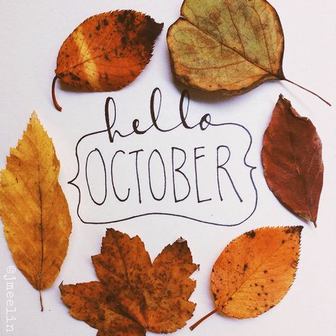 Hello October | by jmeelin Neuer Monat, Hello October, Happy Fall Y'all, Foto Art, Seasons Of The Year, Best Seasons, Autumn Cozy, Fall Favorites, Autumn Aesthetic