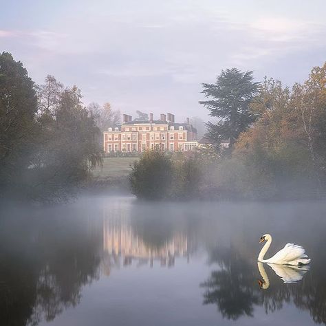 Trees, Water, Heckfield Place, Morning Mist, Manor House, Mist, Floating, Castle, Building