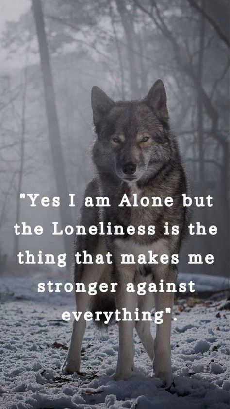 Quotes Warrior, Wolf Pack Quotes, Inspirational Animal Quotes, Demonic Quotes, Lone Wolf Quotes, Wolf Quotes, She Wolf, Wolf Pictures, Wolf Spirit