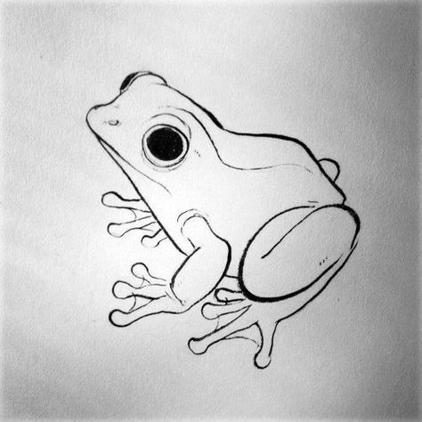 Frosch Illustration, Drawing Ideas Creative, Frog Tattoos, Frog Drawing, Frog Art, A Frog, Arte Inspo, Animal Sketches, Arte Animal