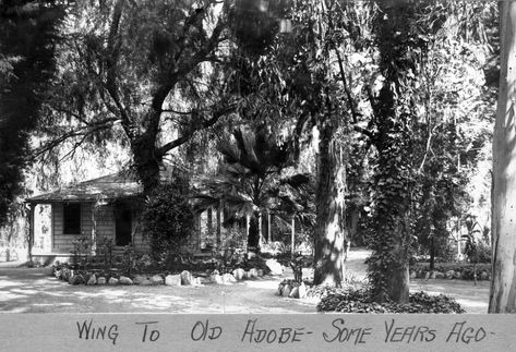 Hesperia California, Garden Of Allah, Gum Tree, Santa Anita, California History, Los Angles, San Fernando Valley, Pasadena California, Vintage Los Angeles