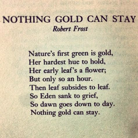 Robert Frost Nothing Gold Can Stay, Nothing Gold Can Stay Tattoo, Stay Gold Poem, Stay Gold Aesthetic, Quotes About Gold, Nothing Gold Can Stay Poem, Stay Gold Tattoo, Mots Forts, Meaningful Poems