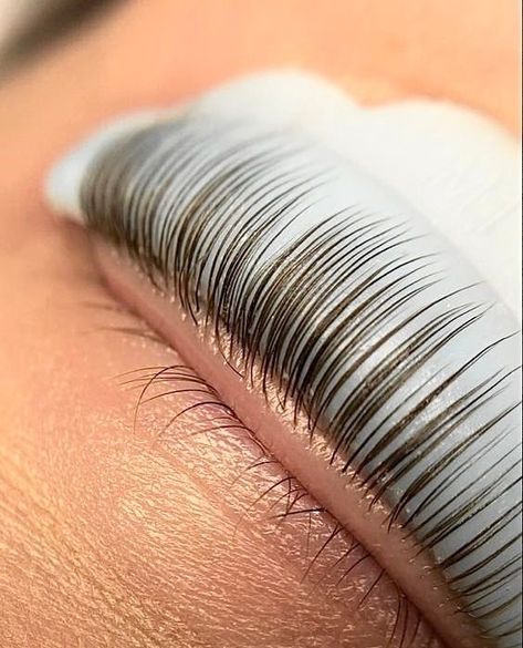 Gold Lash Aesthetic, Lash Lift Content, Lash Lift Aesthetic, Lash Tint And Lift, Lash Appointment, Eye Lash Photography, Eyelash Lift And Tint, Lash Lift And Tint, Esthetician Inspiration