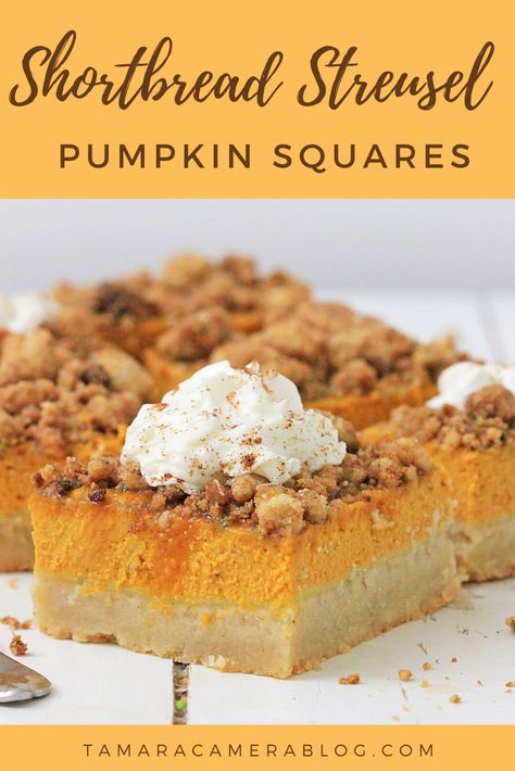 Shortbread Streusel Pumpkin Squares are PERFECT! A recipe for a quick homemade dessert, with a crunchy crust and cinnamon streusel that melts in your mouth. Pumpkin Party Recipes, Cheese Ball Bites, Pumpkin Squares, Quick Easy Recipes, Cinnamon Streusel, Homemade Dessert, Square Recipes, Slow Cooker Desserts, Homemade Donuts