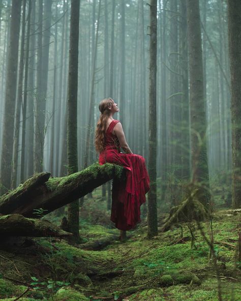 Portret Feminin, Fairytale Photoshoot, Fairy Photoshoot, Nature Photoshoot, Fairytale Photography, Forest Photos, Shotting Photo, Photographie Portrait Inspiration, Photo Grid