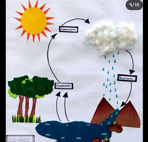 Water Cycle Model Projects, Water Cycle Project Poster, Water Cycle Project Models, Water Cycle Craft, Water Cycle Model, Feelings Activities Preschool, Frog Life Cycle Craft, Water Cycle Project, Science Project Models