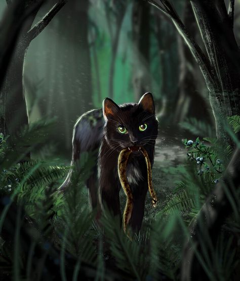 Warrior Cats Comics, Warrior Cats Series, Warrior Cats Books, Warrior Cats Fan Art, Warrior Cat Drawings, Warrior Cat Oc, Cat Oc, Image Chat, Warrior Cats Art