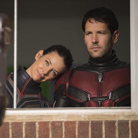 Paul Rudd Ant Man, Ant Man Scott Lang, Marvel Bunch, Hank Pym, Marvel Ships, Ant Man And The Wasp, Marvel Couples, Van Dyne, Antman And The Wasp