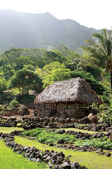 Indigenous Architecture, Tropical Botanical Garden, Social Structure, Hawaiian History, Primitive House, Polynesian Village, Hawaiian Homes, Tropical Botanical, Hawaiian Art