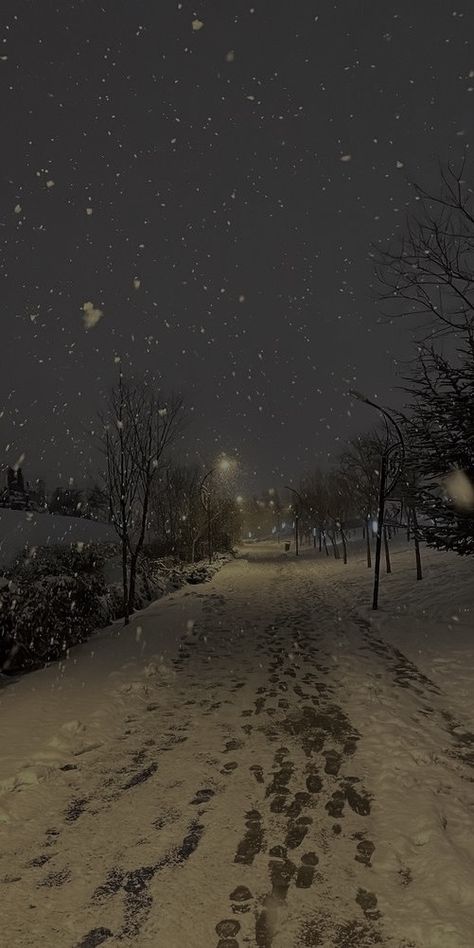 Snowy Neighborhood At Night, Asthetic Pics For Widgets, Christmas Tree Ideas With Snow, Winter Ice Aesthetic, Cold Cozy Aesthetic, Winter Days Aesthetic, Cozy Snow Aesthetic, Slytherin Winter Aesthetic, Winter 2024 Aesthetic