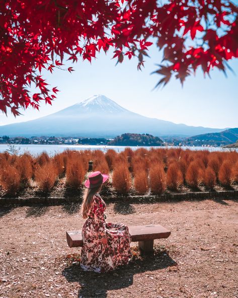 Oishi park views in Kawaguchiko Oishi Park Japan, Japan Moodboard, Two Hours Later, Manifest Journal, Japan Autumn, Japan 2023, Tokyo Skytree, Japan Photography, Dubai Luxury