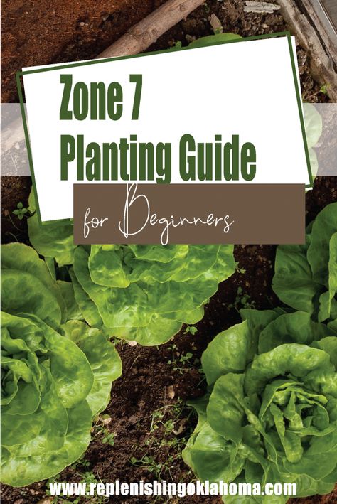 Gardening Schedule Calendar Zone 7, Fall Gardening Zone 7, 7b Zone Plants, What Planting Zone Am I In, Fall Vegetable Garden Zone 7, Zone 7 Garden Plan, Plants For Zone 7 Landscapes, 7b Planting Schedule, What Zone Am I In For Planting