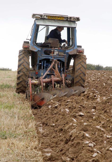 cσuntrч. ѕpríng Life On Land, Tractor Plow, Farm Work, Field Work, Farm Land, West Bay, Ford Tractors, Old Tractors, Farm Machinery