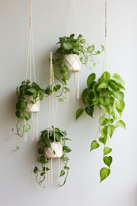 Hanging Plant Ideas to Enhance Your Interior Design - Quiet Minimal House Plants Hanging Ideas, Hanging Office Plants, Plants Ceiling Hanging, Plant Esthetics Room, Hanging Plant Bathroom, Cute Plant Ideas, House With Plants Aesthetic, Aesthetic Bedroom Ideas Plants, Hanging Plant Pots Indoor