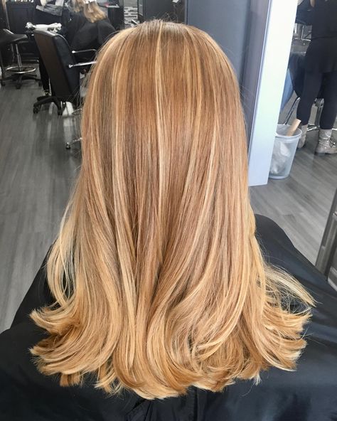 Blonde Hair On Red Hair, Golden Blonde With Copper Lowlights, Copper Blonde With Dark Roots, Copper Blonde With Highlights, Cooper Highlights On Blonde Hair, Honey Blonde Copper Hair, Copper Blonde Hair With Highlights, Blonde Hair Ginger Highlights, Honey Red Hair Color Strawberry Blonde