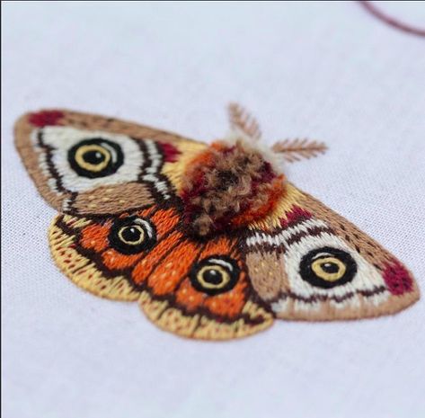 Jocelyn H. (@jocestitches) • Instagram photos and videos Embroidery Sampler, Bird Embroidery, Dmc Embroidery Floss, Art Kits, Embroidery Needles, Hand Felted, Hand Embroidery Patterns, Diy Embroidery, Embroidery Inspiration