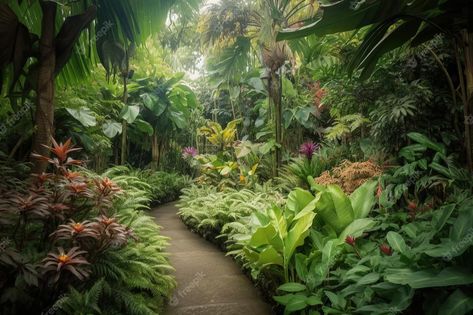 Premium Photo | A path through a tropical garden with lush plants and a green leafy garden. Jungle Vibes, Scenery Photos, Walking Paths, Big Leaves, Tropical Garden, Vector Photo, Lush, Artist Inspiration, Stock Photos