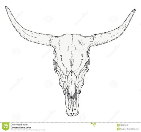 Longhorn Tattoo, Cow Skull Tattoos, Bull Skull Tattoos, Skull Coloring, Long Horns, Native Tattoos, Skull Coloring Pages, Single Needle Tattoo, Longhorn Skull