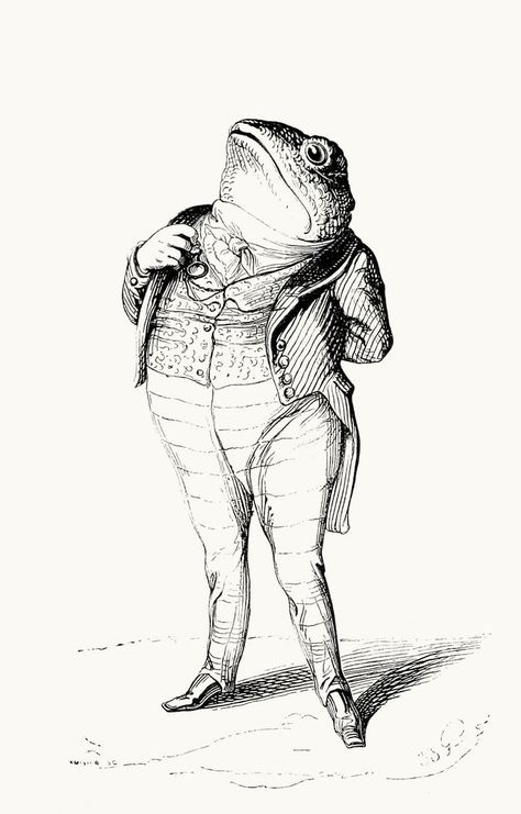 J-J. Grandville, from Vie privée et publique des animaux (Public and Private Life of Animals), under the direction of P. J. Stahl, Paris, 1867 Animals, ... Frosch Illustration, Frog Illustration, Frog Drawing, White Drawing, Frog Art, A Frog, Arte Sketchbook, Art Et Illustration, Private Life