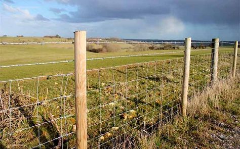 Farm Fencing Cost 2021 Horse Farm Layout, Stock Fencing, Hog Wire Fence, Farm Fencing, Timber Fence, Agricultural Fencing, Livestock Fence, Outdoor Yard Ideas, Post And Rail Fence