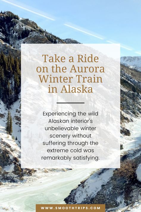 My Ride on the Aurora Winter Train in Alaska | Smooth Trips Alaska Train, Winter Train, Alaskan Wildlife, Alaska Railroad, Winter Travel Destinations, Alaska Vacation, Train Journey, Alaska Travel, Winter Scenery