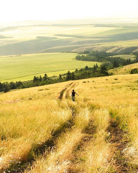 Nature, Walking In A Field, Trail Running Photography, Running Photography, Inspiration Images, Fields Of Gold, Field Of Dreams, Living Art, English Countryside