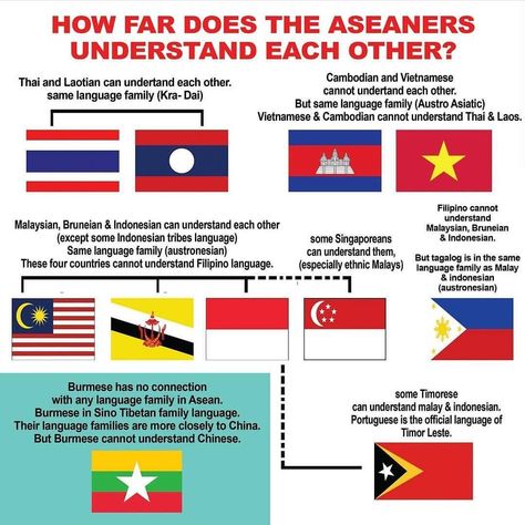 (I did not make this) This is so cool and so interesting! Language really is amazing. Do any of you speak a language which enables you to… Brahmi Script, Filipino Language, Malay Language, Conversation Questions, Language Families, Ancient History Facts, Logo Game, Close Family, Funny Sites