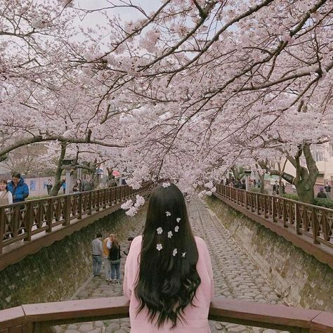 cherry blossoms Cherry Blossom Pictures, Cherry Blossom Girl, Old Dress, Trendy Flowers, Korean Aesthetic, Tumblr Photography, Trik Fotografi, Jolie Photo, 인물 사진