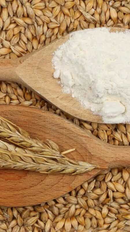 Barley Powder, Food Powder, Making Bread, Barley Flour, Gf Bread, Hygiene Care, Fiber Rich, Wheat Flour, Healthy Alternatives