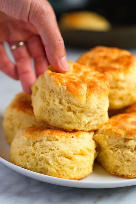 These are the most delicious, fluffy homemade biscuits we’ve ever made! Our quick and easy biscuit recipe calls for milk or buttermilk and makes the best tall and […] Biscuits Made With Butter And Milk, Big Fluffy Biscuits, No Buttermilk Biscuits, Dinner Biscuits Recipes, Easy Fluffy Biscuits, Buttery Biscuit Recipe, Biscuit Recipe With Milk, Sheet Biscuits, Biscuit Recipe Homemade No Buttermilk