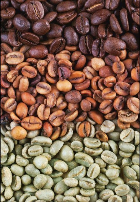 Coffee Beans Photography, Coffee Bean Shop, Coffee Process, Retro Cafe, Coffee Farm, Coffee Shop Aesthetic, Coffee Plant, Green Coffee Bean, Coffee Photos