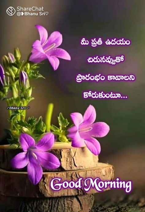 Tradition Quotes, Telugu Inspirational Quotes, Best Pose For Photoshoot, Galaxy Phone Wallpaper, Good Morning Inspirational Quotes, Morning Inspirational Quotes, Morning Pictures, Iphone Background Wallpaper, Good Morning Greetings