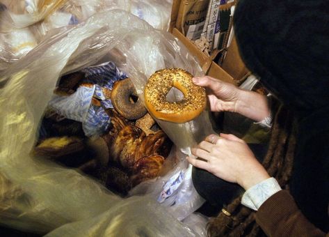 Food Waste Is Worse Than We Thought and the Rich May Be to Blame - Bloomberg Dumpster Diver, Food Meaning, New York Bagel, Bagel Shop, Dumpster Diving, Beeswax Food Wrap, Food Wraps, Edible Food, Global Recipes