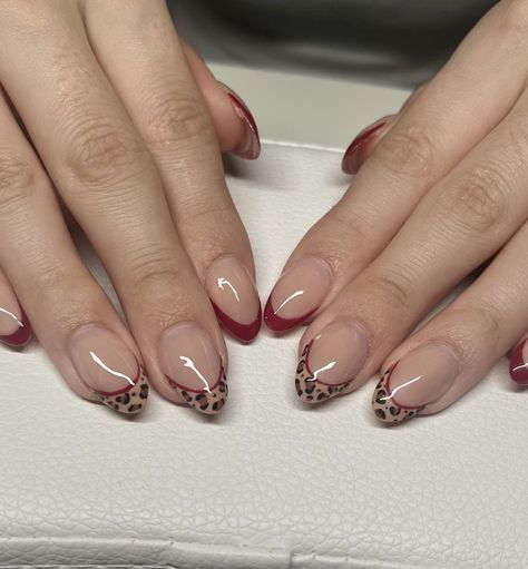 Cute Acrylic Nails Almond Shape Designs, Simple Nails For Autumn, Leporad Nail Designs, Maroon Leopard Nails, Leopard French Nails Almond, Tortie French Nails, Red Nails And Cheetah Print, Sharp Coffin Nails, November Nails Maroon