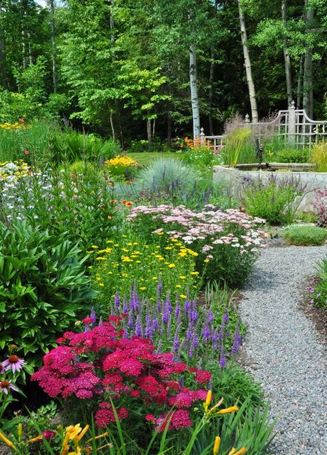 in the foreground..." Yarrow, Achillea 'Pomegranate': was bred to be a compact, bushy Yarrow. Full sun and somewhat poor soil with good drainage. Remove faded flowers to promote a second flush of blooms. Height: 45-70 cm (18-27 inches) 45-60 cm (18-23 inches). Hardy USDA Zones: 2-9." Backyard Fairy Garden, Faded Flowers, A Secret Garden, Gravel Garden, Three Dogs, Fine Gardening, Garden Path, Garden Landscape Design, Perennial Garden