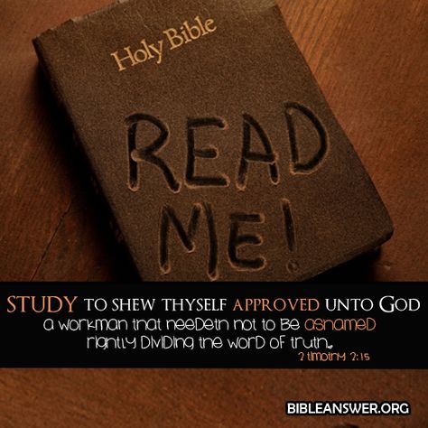 ----->>>LIKE + PIN <<<---- IF YOUR BIBLE IS DUST FREE! Vertrouw Op God, 5 Solas, True Identity, Bible Knowledge, Reading Plan, Read Bible, Holy Bible, Way Of Life, The Words