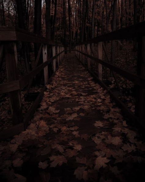 Brown Forest Aesthetic, Mahogany Aesthetic, Dark Forest Aesthetic, Autumn Magic, Dark Autumn, Black Phone Wallpaper, 22 December, Fallen Leaves, Brown Wallpaper