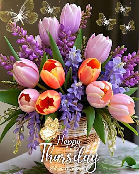 Happy Thursday Tulips quotes days thursday thursday quotes happy thursday happy thursday quotes Happy Thursday Images Beautiful, Tulips Pictures, Tulips Quotes, Thursday Morning Quotes, Happy Thursday Morning, Happy Thursday Images, Thursday Images, Thursday Greetings, Good Morning Happy Thursday