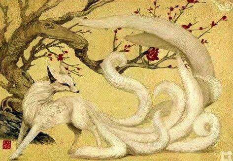 Asian Fox, Japanese Myth, Japanese Fox, Art Fox, Kitsune Fox, Japanese Mythology, Fox Spirit, Chinese Mythology, Japanese Folklore